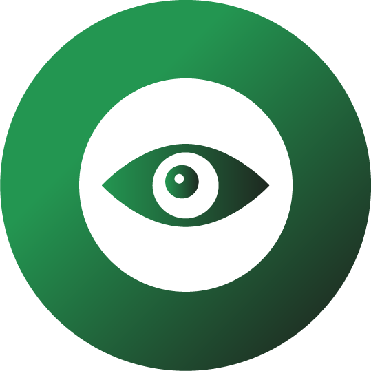 vision1